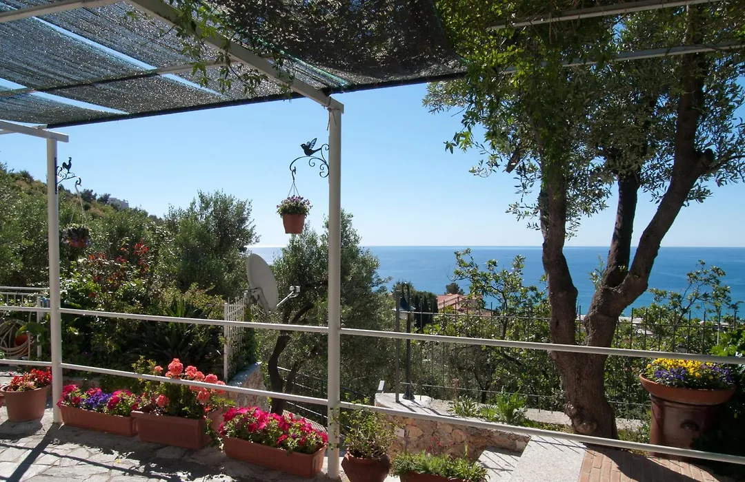 Tra Gli Ulivi-1